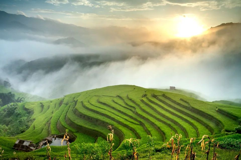 Kho gạo của Võ Nguyên Phúc 1